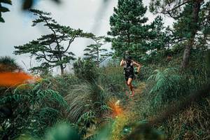 BIB: 
                            <button type="button" onclick="openModal(25258102)" class="btn btn-primary btn-sm float-right btn-popup" data-toggle="modal" data-target=".modal-high-quality">
                        <i class="fas fa-shopping-cart"></i> Add to Cart
                    </button>
                                            <button type="button" onclick="isThisMe(25258102, true)" class="btn btn-success btn-sm float-right btn-popup btn-isme hidden" data-toggle="tooltip" data-placement="bottom" title="นี่คือรูปของคุณใช่ไหม คลิกที่นี่เพื่อเอาเข้าอัลบั้ม">
                        <i class="fas fa-plus"></i> Add to album
                    </button>
                    <button type="button" onclick="isThisMe(25258102, false)" class="btn btn-warning btn-sm float-right btn-popup btn-isnotme hidden">
                        <i class="fas fa-ban"></i> Remove from album
                    </button>